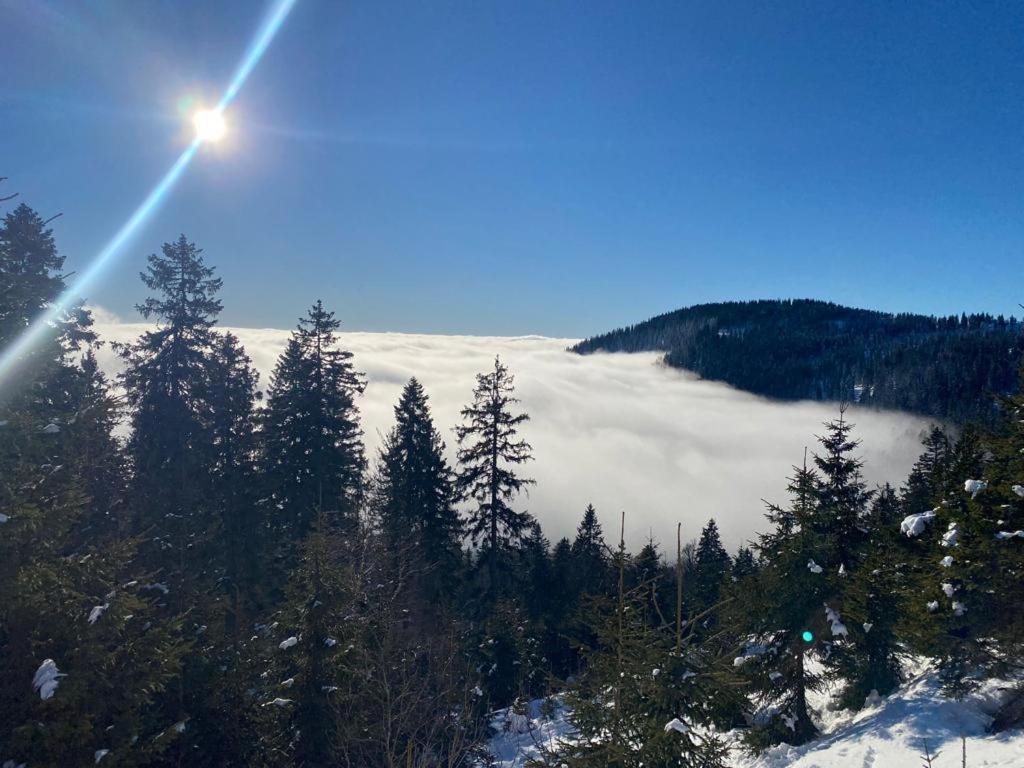 Landgasthof Brandtner Wirt Langdorf  المظهر الخارجي الصورة