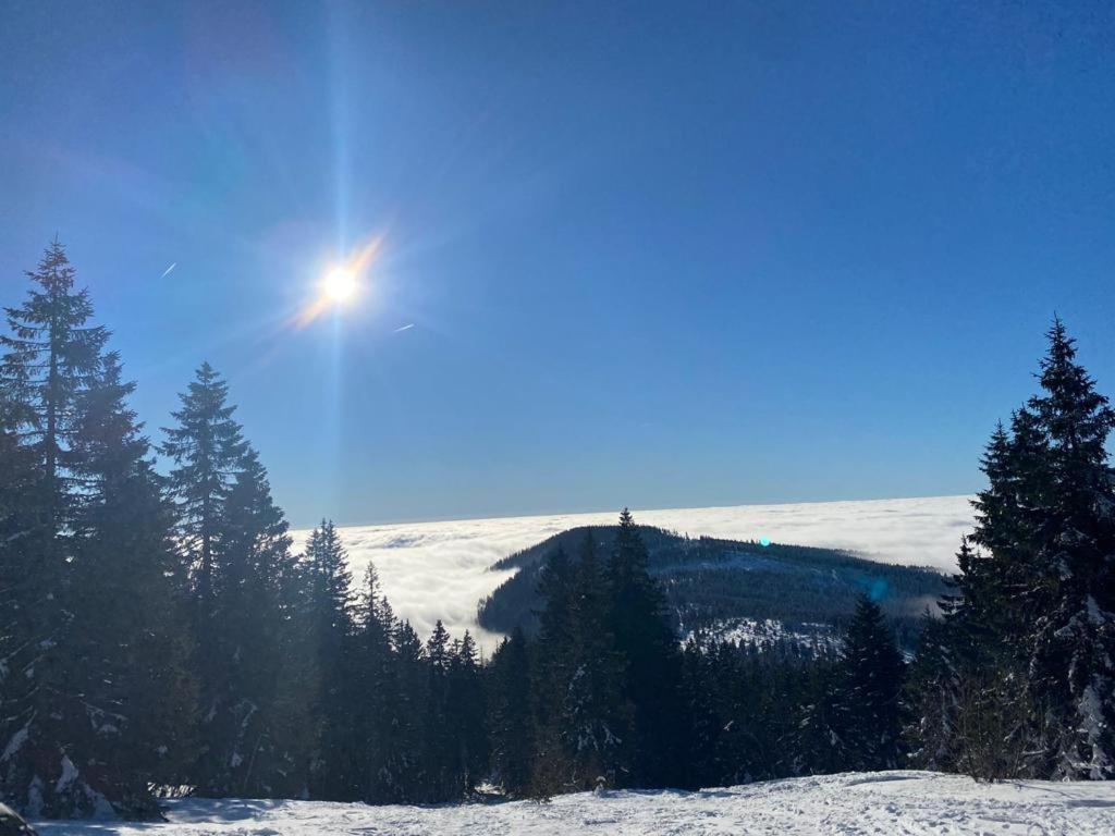Landgasthof Brandtner Wirt Langdorf  المظهر الخارجي الصورة