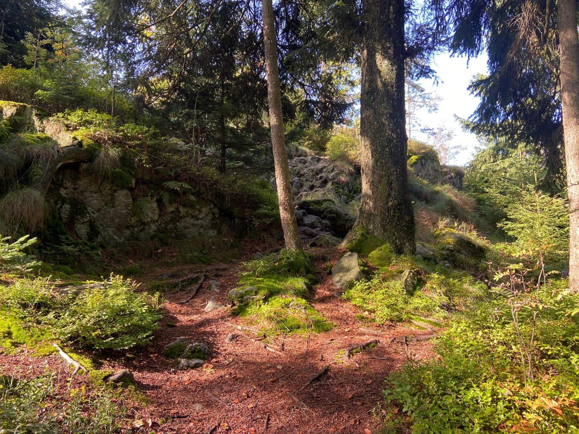 Landgasthof Brandtner Wirt Langdorf  المظهر الخارجي الصورة
