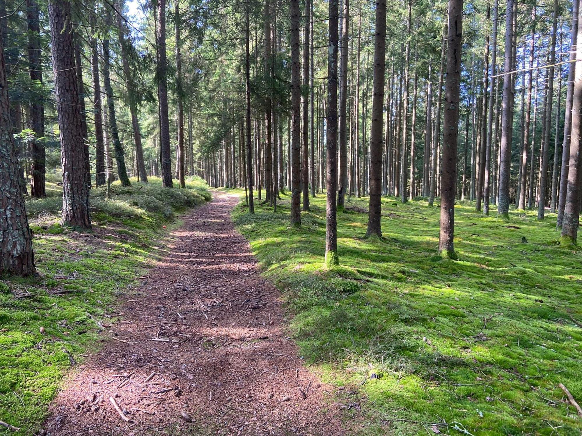 Landgasthof Brandtner Wirt Langdorf  المظهر الخارجي الصورة